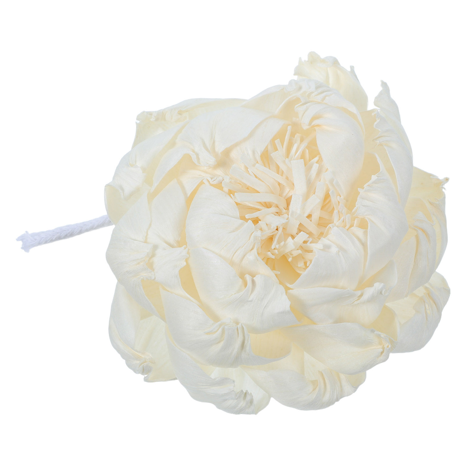 Pioenroos Geurverspreider 12Cm - Home Fragrance Oils recensie en prijs