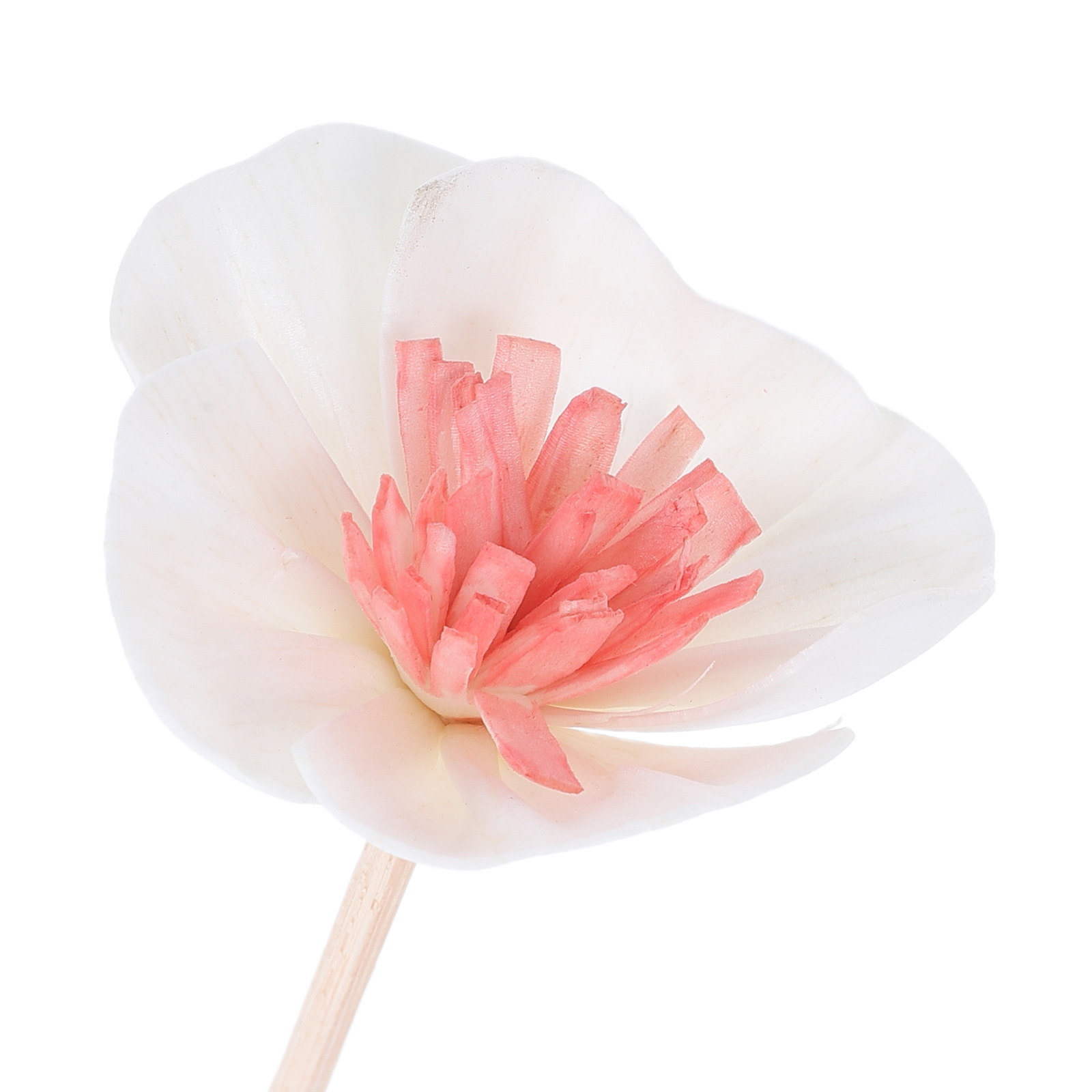 10 stuks zwarte essentiële oli - Home Fragrance Oils recensie en prijs