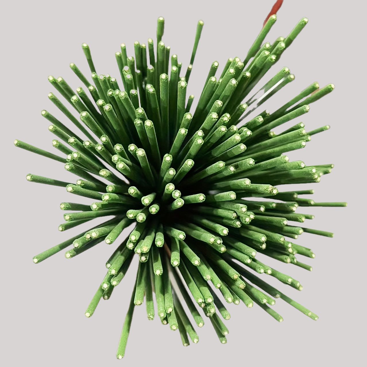 Riet Diffuser Sticks Citroengr - Home Fragrance Verbena recensie en prijs